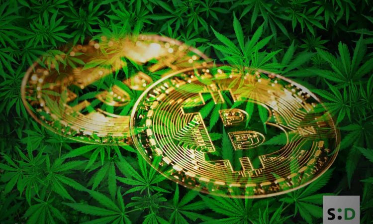 Weed and Bitcoin
